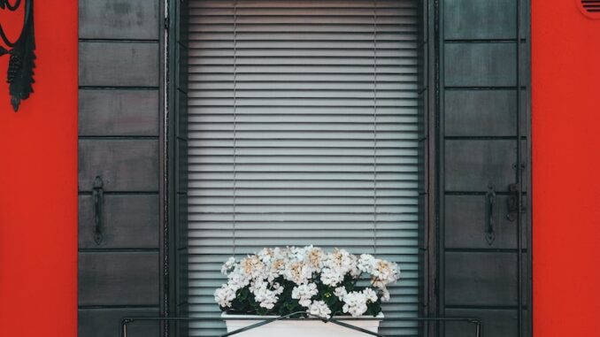 uploaded-image-ehliyet-ve-trafik-kurallari-1697900153123
