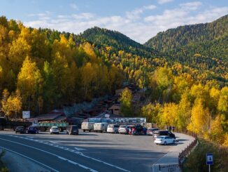 13. Motorlu Taşıt Sürücü Sertifikası (MTSK) Hakkında Bilgiler